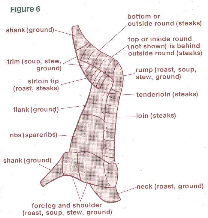 venisoncuttingchartopti36kb.jpg
