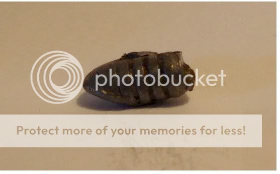 4570_Bullet_Test_2.jpg
