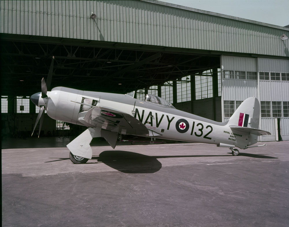 Sea_Fury_MIKAN_4820893.jpg