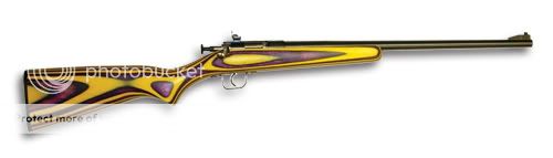 purple-gold-crickett.jpg