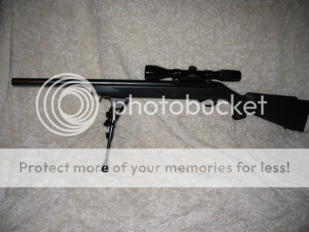 1022003.jpg