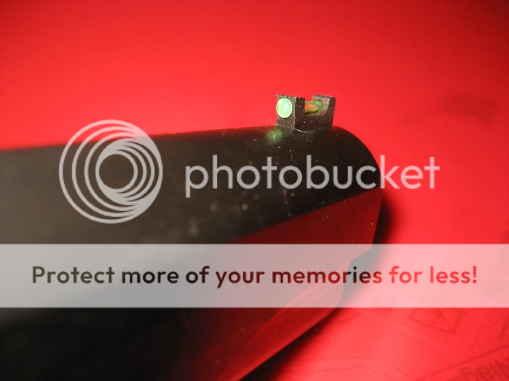 CANAMSIGHTS4.jpg