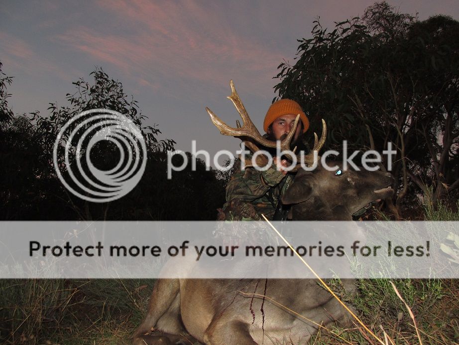 IMG_2198youngblackcleft.jpg~original