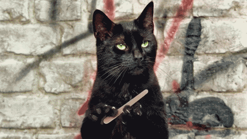 tumblr_lymumktaNC1r93b1wo1_500.gif
