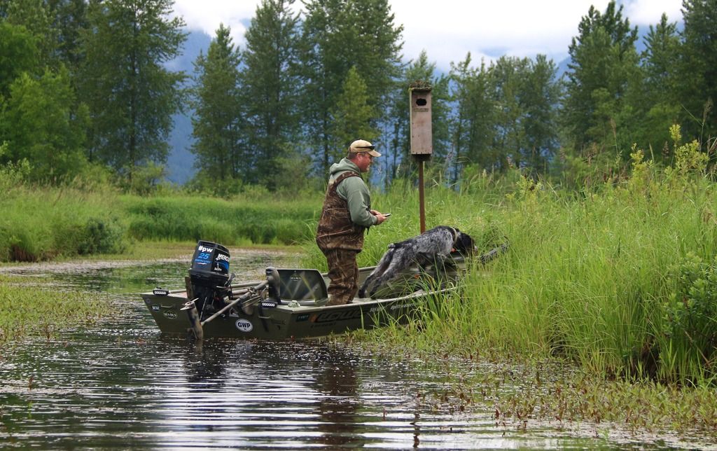 IMG_6331_zpswmvdo5bo.jpg~original