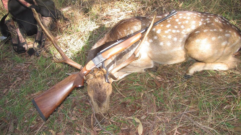 IMG_5235ruger1buck.jpg~original