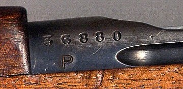 K11small.jpg