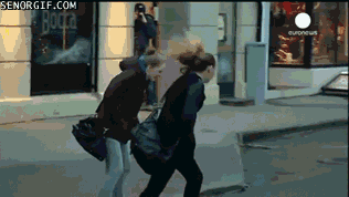 giphy.gif