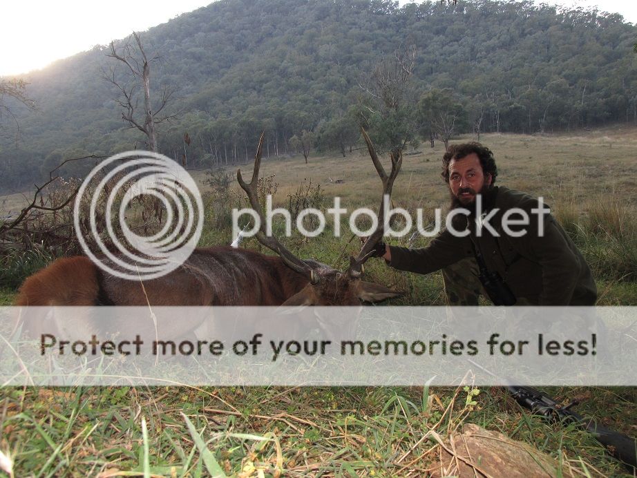 IMG_2178redstagfringe.jpg~original