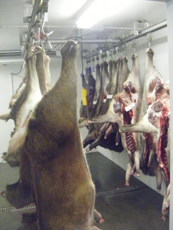 DSCF6790.jpg