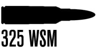 325wsm.jpg