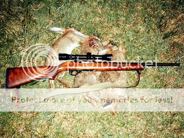 1989-06Bunnies10-22.jpg