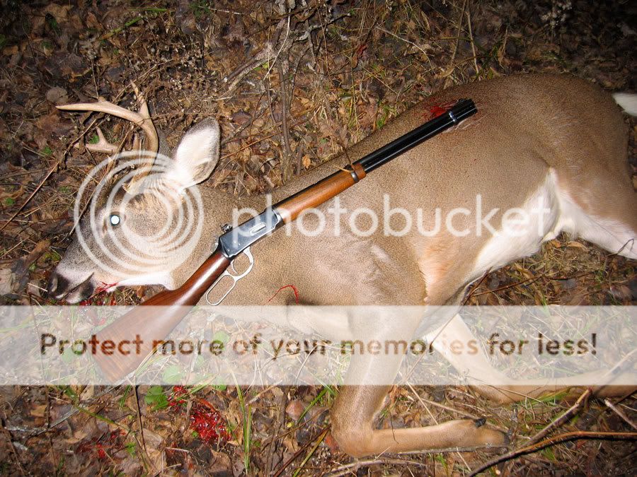2nd-Buck-Gun.jpg