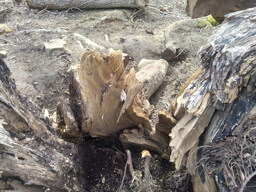 51987703834_9514093d40_b.jpg