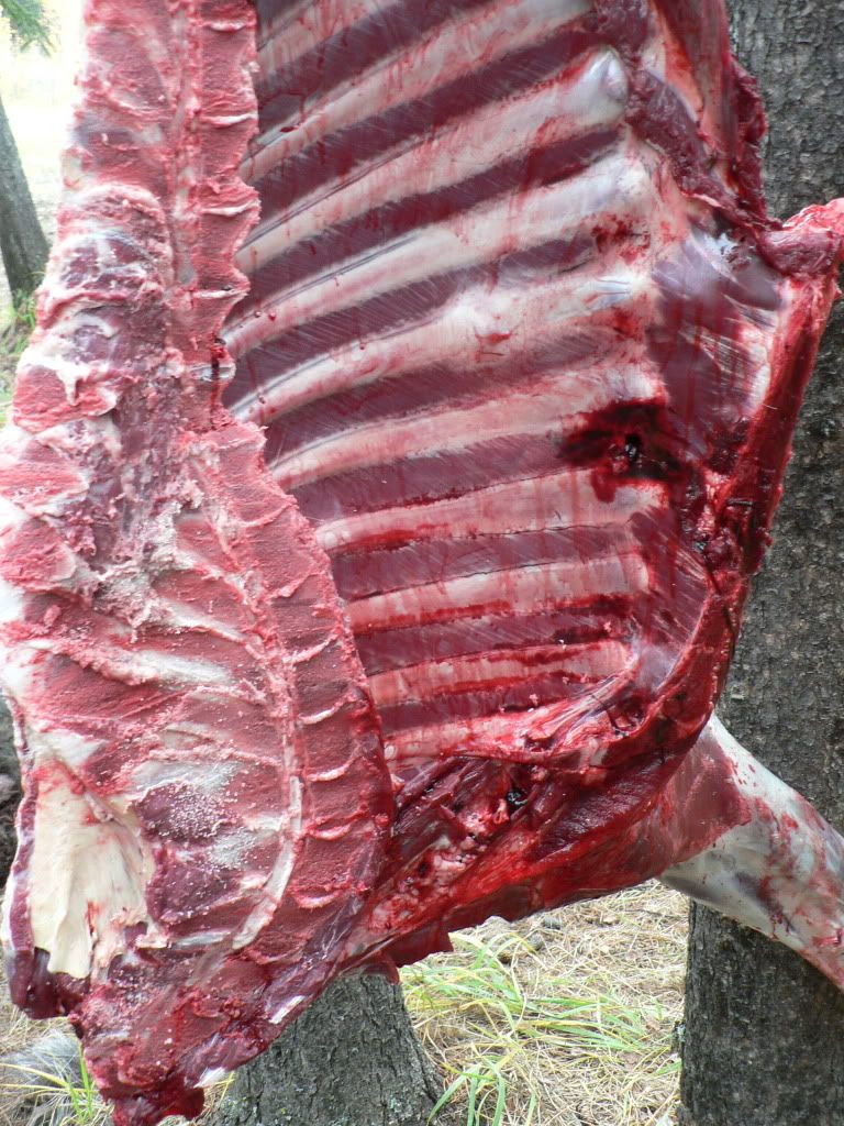 2008Sikannihuntingtrip034-2.jpg