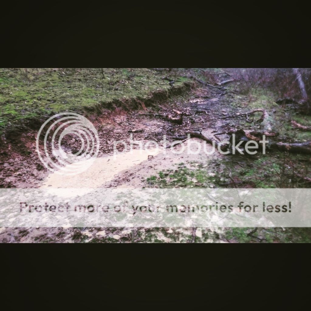 IMG_20150812_162415.jpg~original