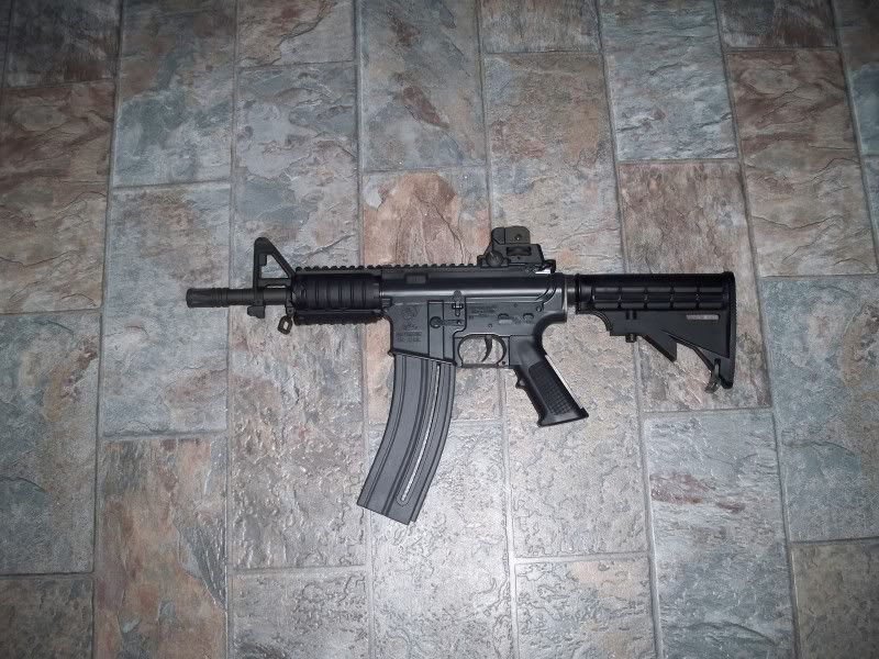 colt0052.jpg