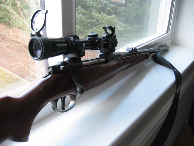 8p3rafml.jpg