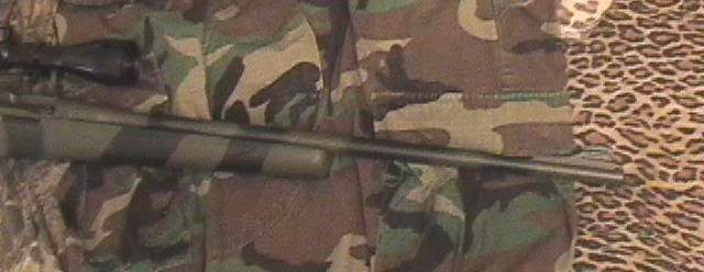 camo3.jpg