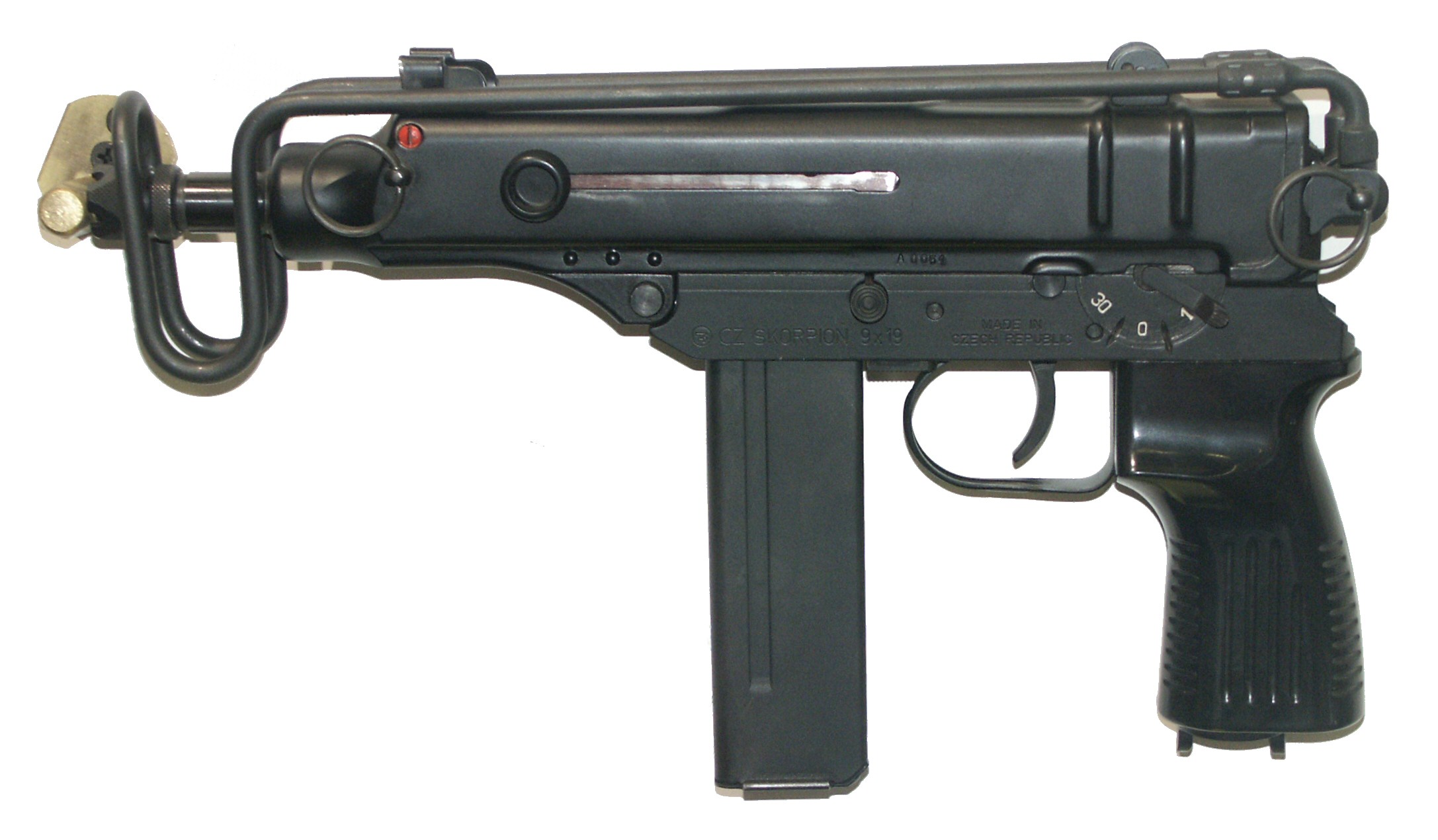 Skorpion_PICT0105.jpg