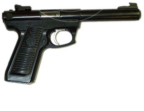 ruger2245_r.jpg