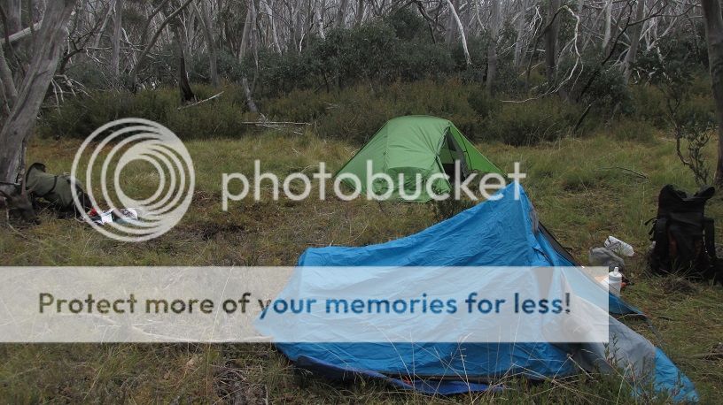 IMG_5578.jpg~original