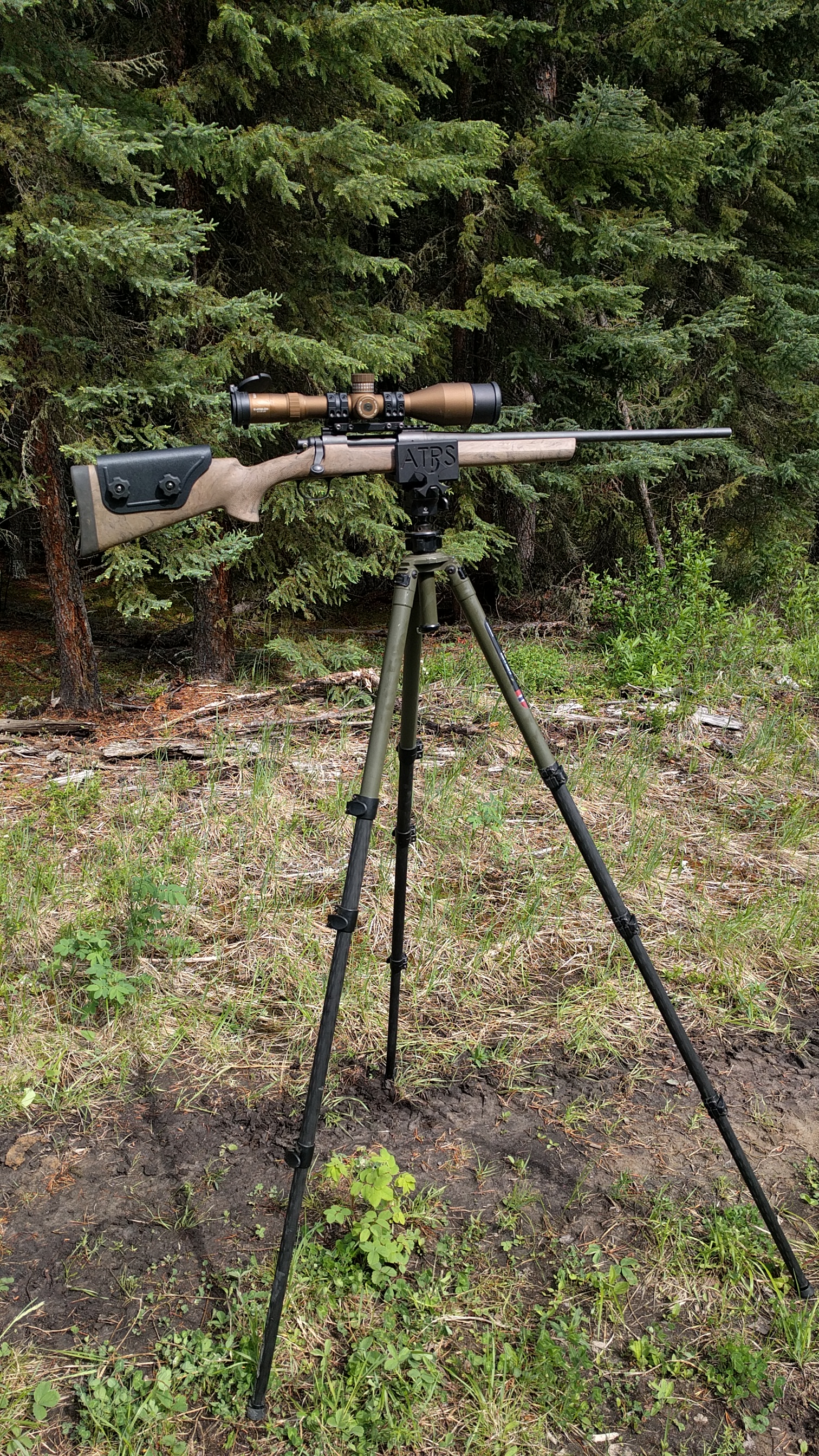 lCQ1asc.jpg