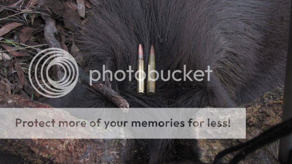 IMG_5406Cartridges3536.jpg~original