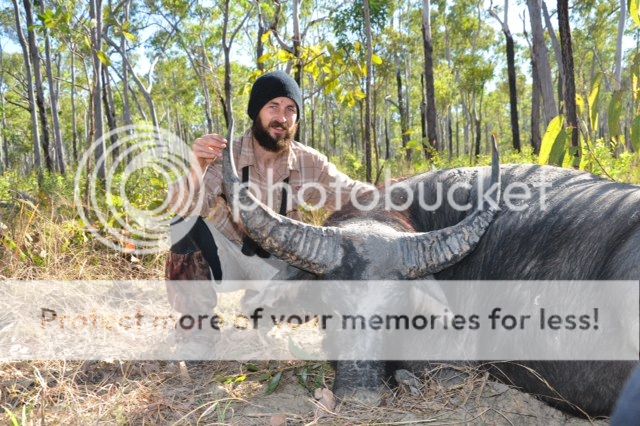 HilldogBufflastbull.jpg~original