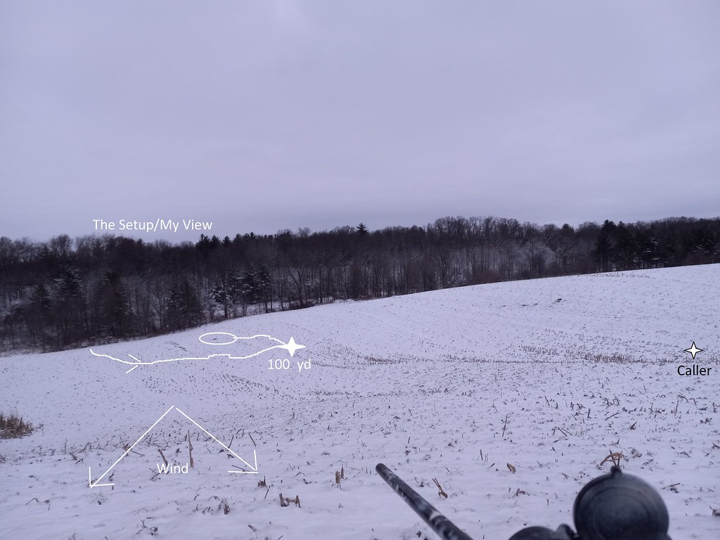 52627222790_3094080137_b.jpg