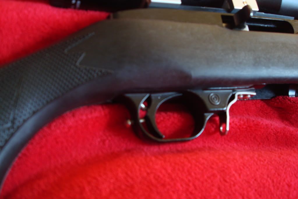 155.jpg