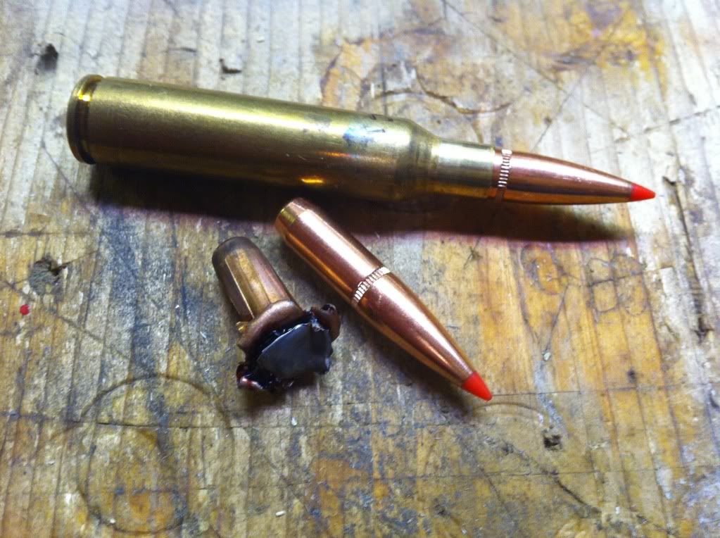 HornadySST.jpg