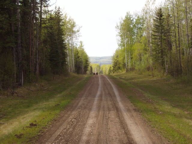 P1010019.jpg