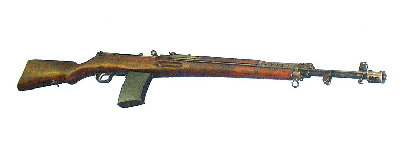 800px-AVS_36.JPG