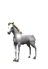 2005-02-27_143356_1Mustang.gif