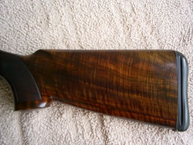 S4021872.jpg