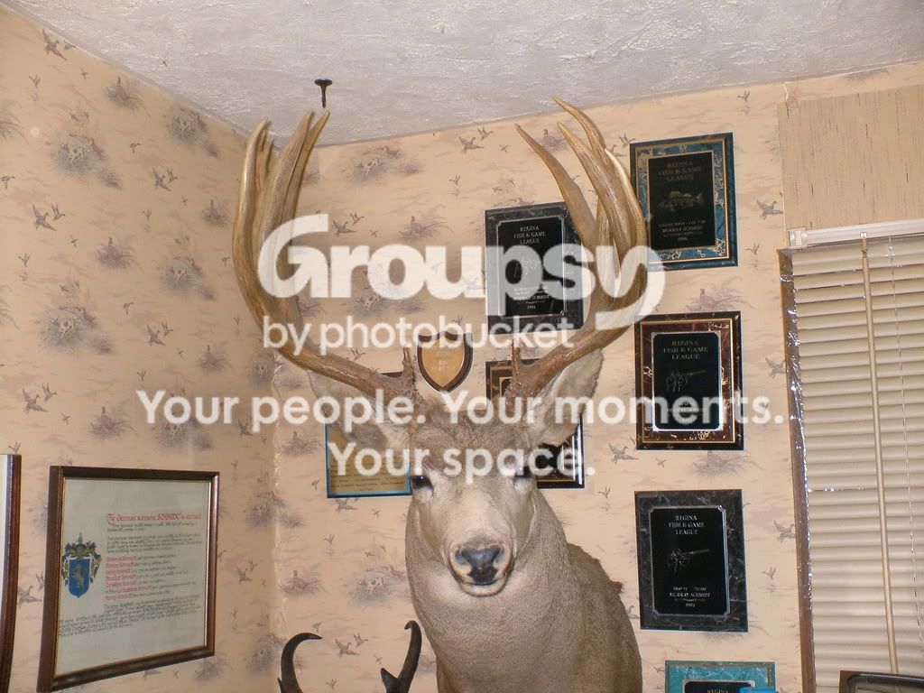 brucedeer2005210643.jpg