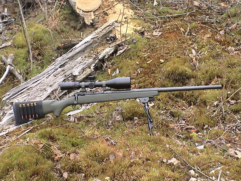 OCT2008HUNTING012.jpg