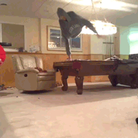 qdYFf0H.gif