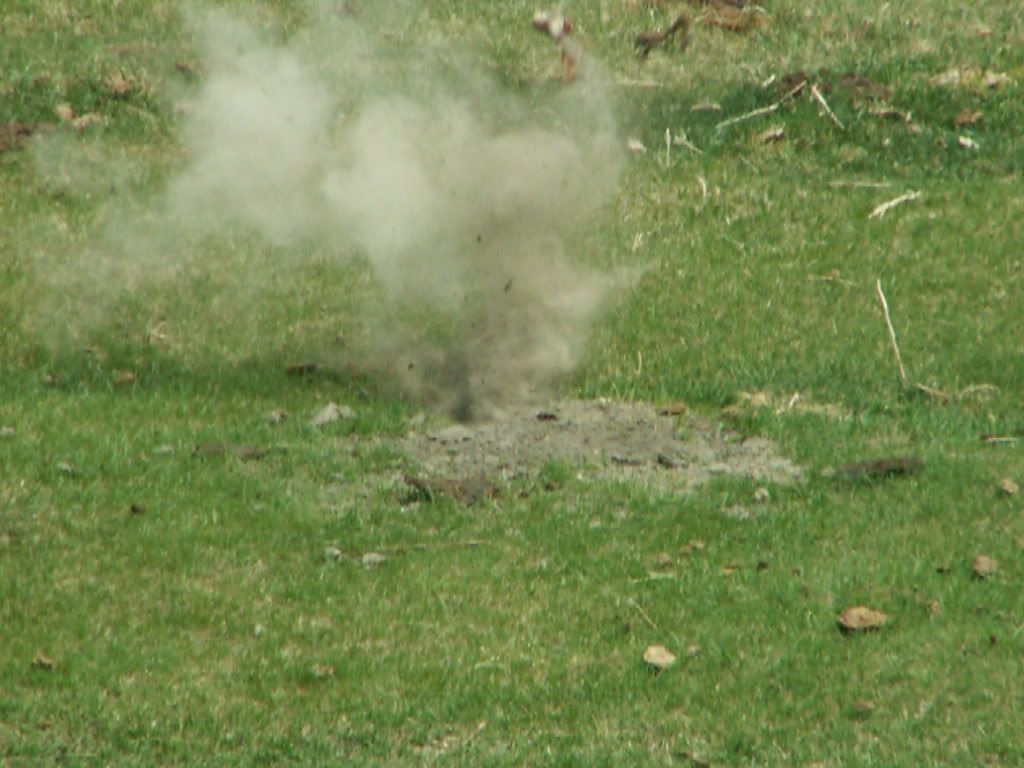 PICT0346.jpg