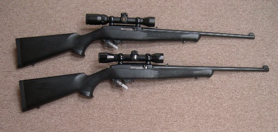2006-01-15_083655_2Ruger1022a.jpg