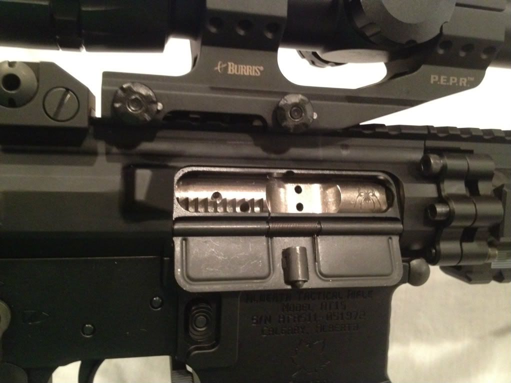 ar15.jpg