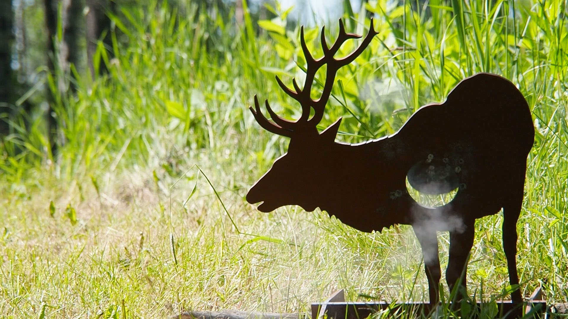 elk_bull_b.jpg