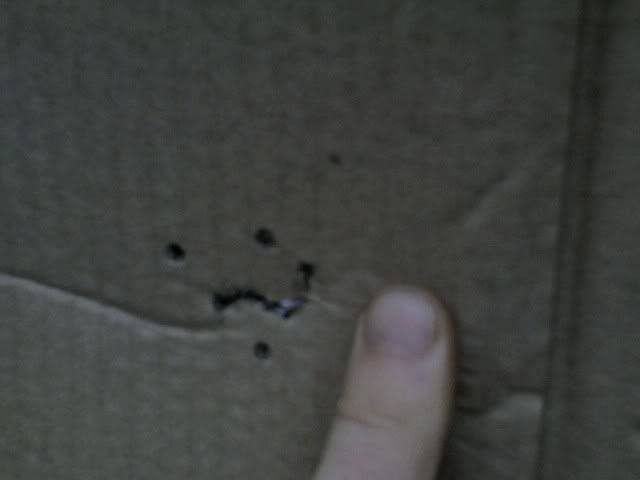 SavageMkIIgrouping100yds.jpg
