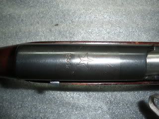IMGP0246.jpg