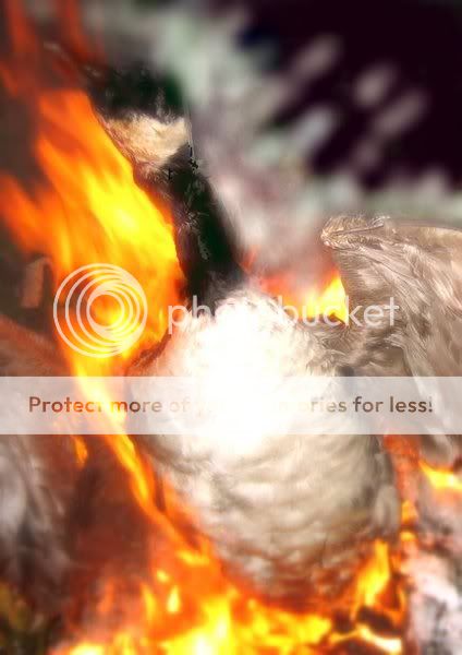 burninggoose.jpg