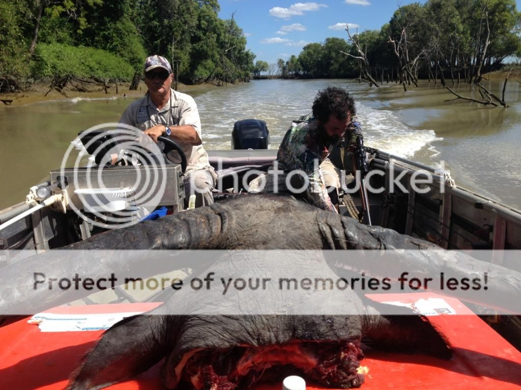 IMG_0109BullBoat.jpg~original