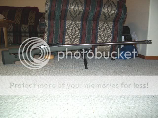 201_0278resize.jpg