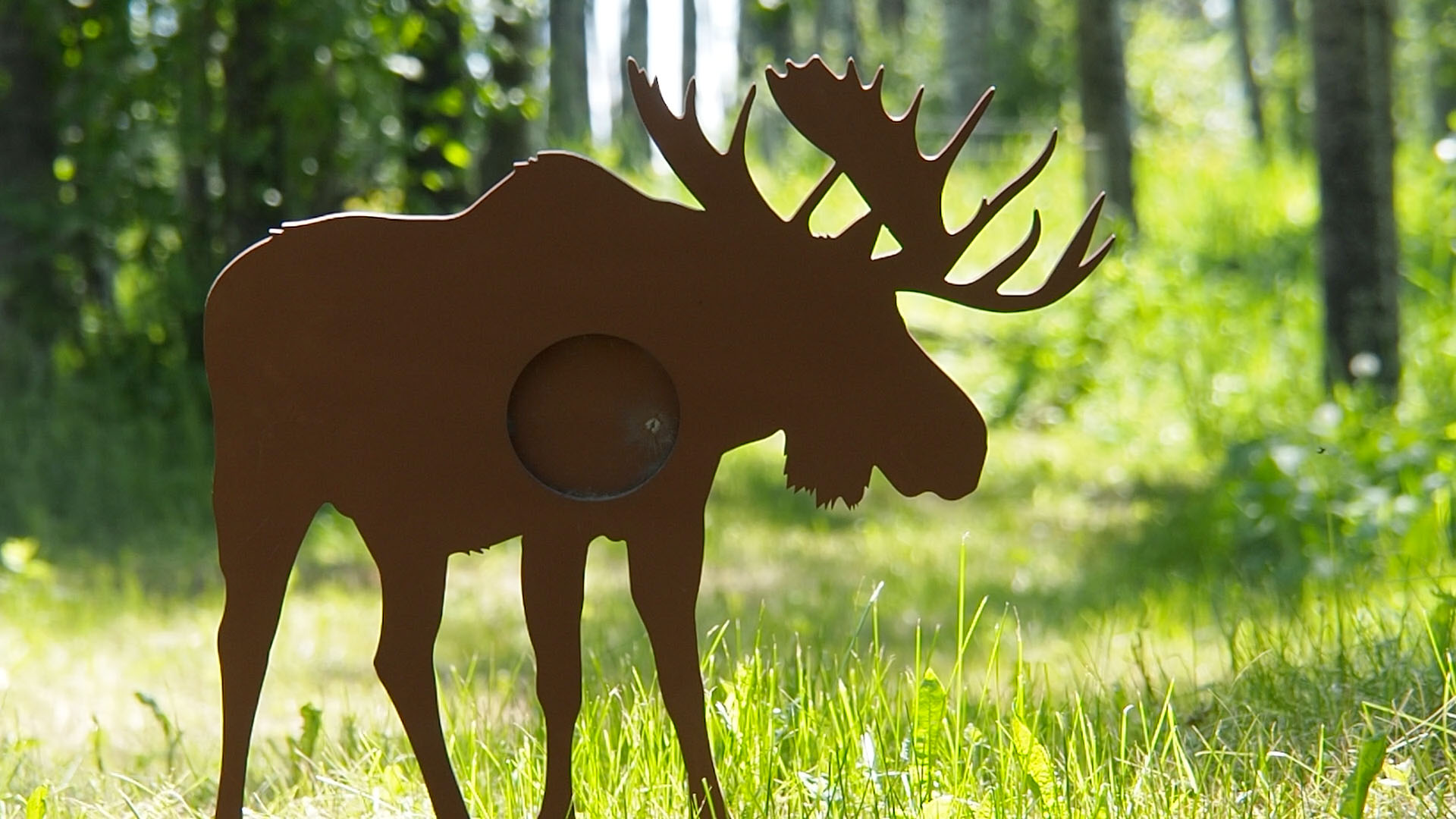 moose_a.jpg