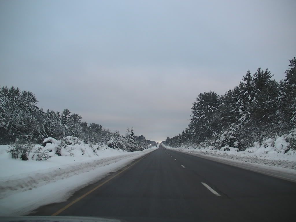 SANY0252.jpg